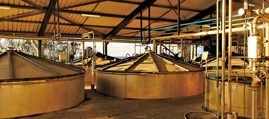 Distillerie-savanna