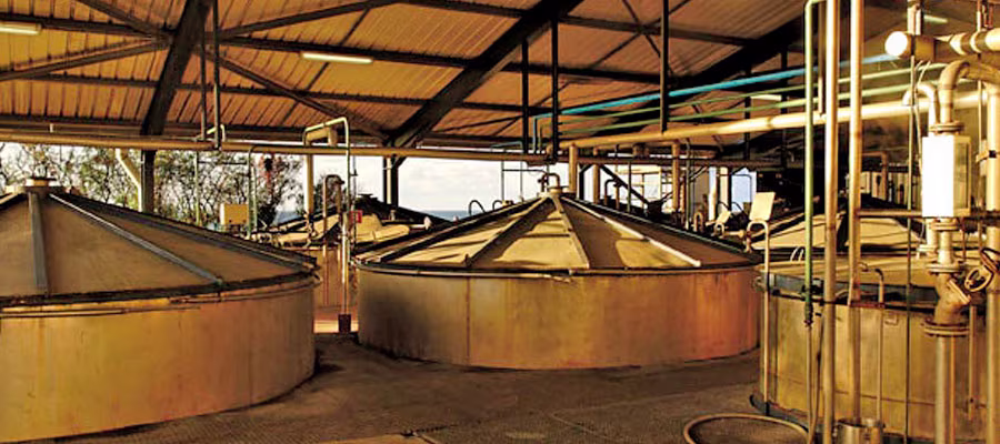Distillerie-savanna