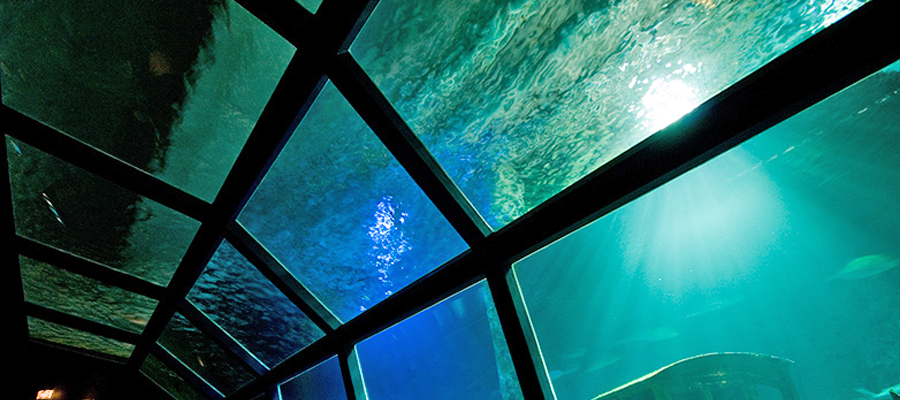 aquarium-saint-gilles