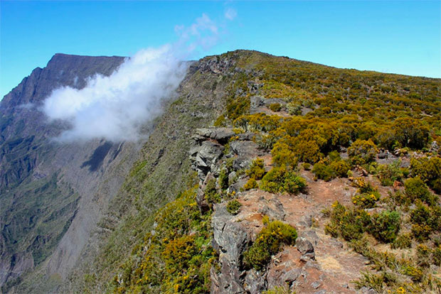 hiver-austral-reunion