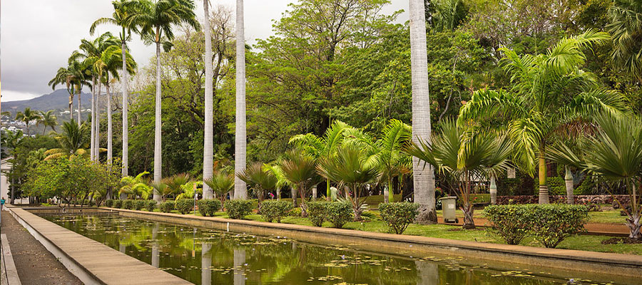 parc-saint-denis-reunion