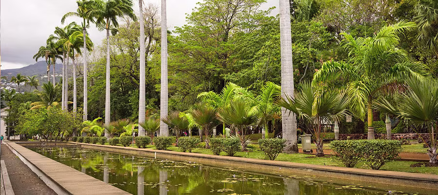parc-saint-denis-reunion