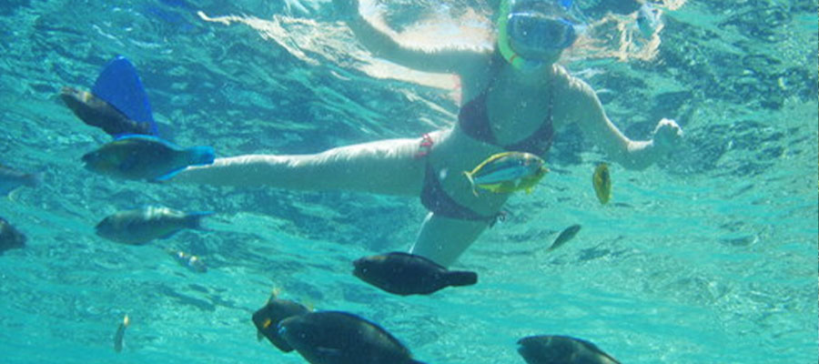 snorkeling-martinique2