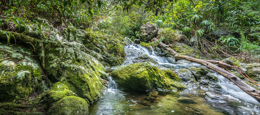riviere-cascade-langevin