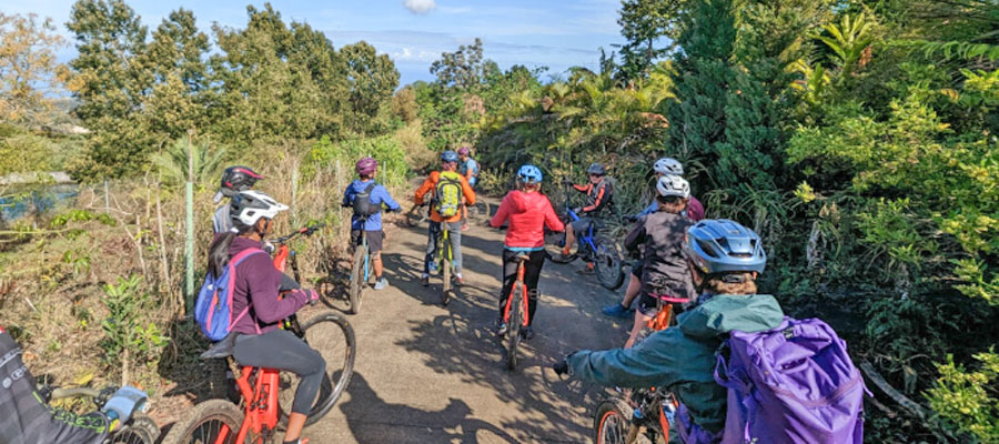 vtt-maido