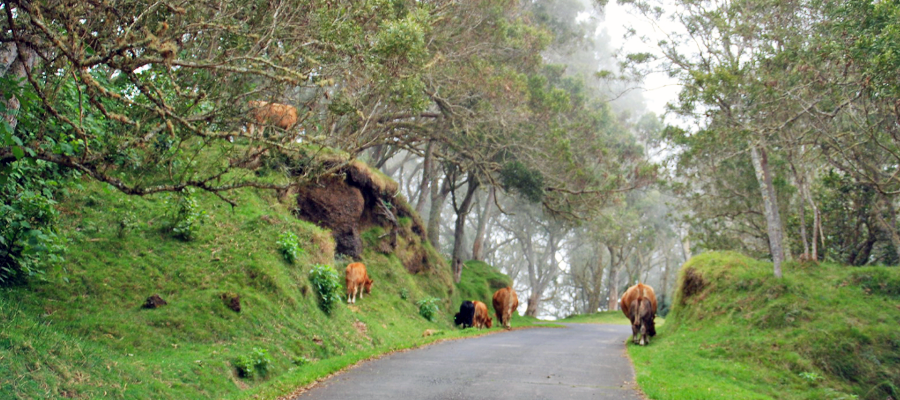 route-tevelave