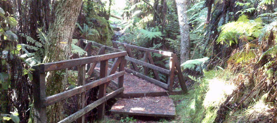 Sentier-de-la-Tamarinaie