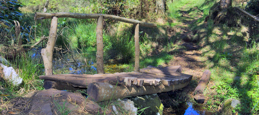 petit-pont-tevelave