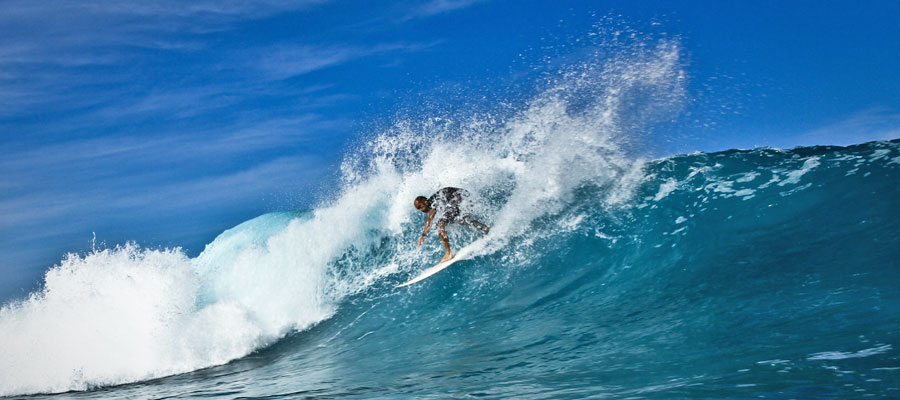 surf