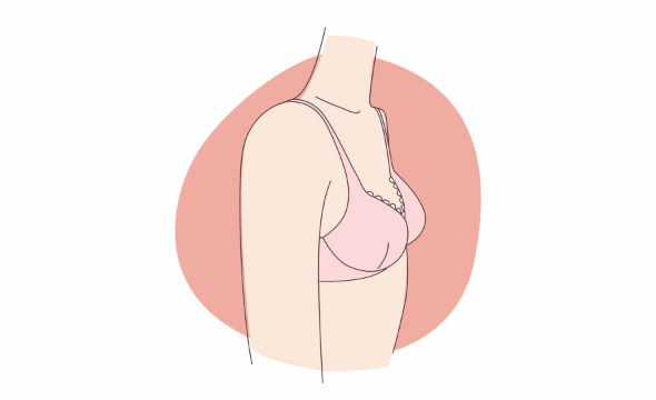 girl's breast developing