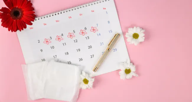 How your menstrual cycle works - image set