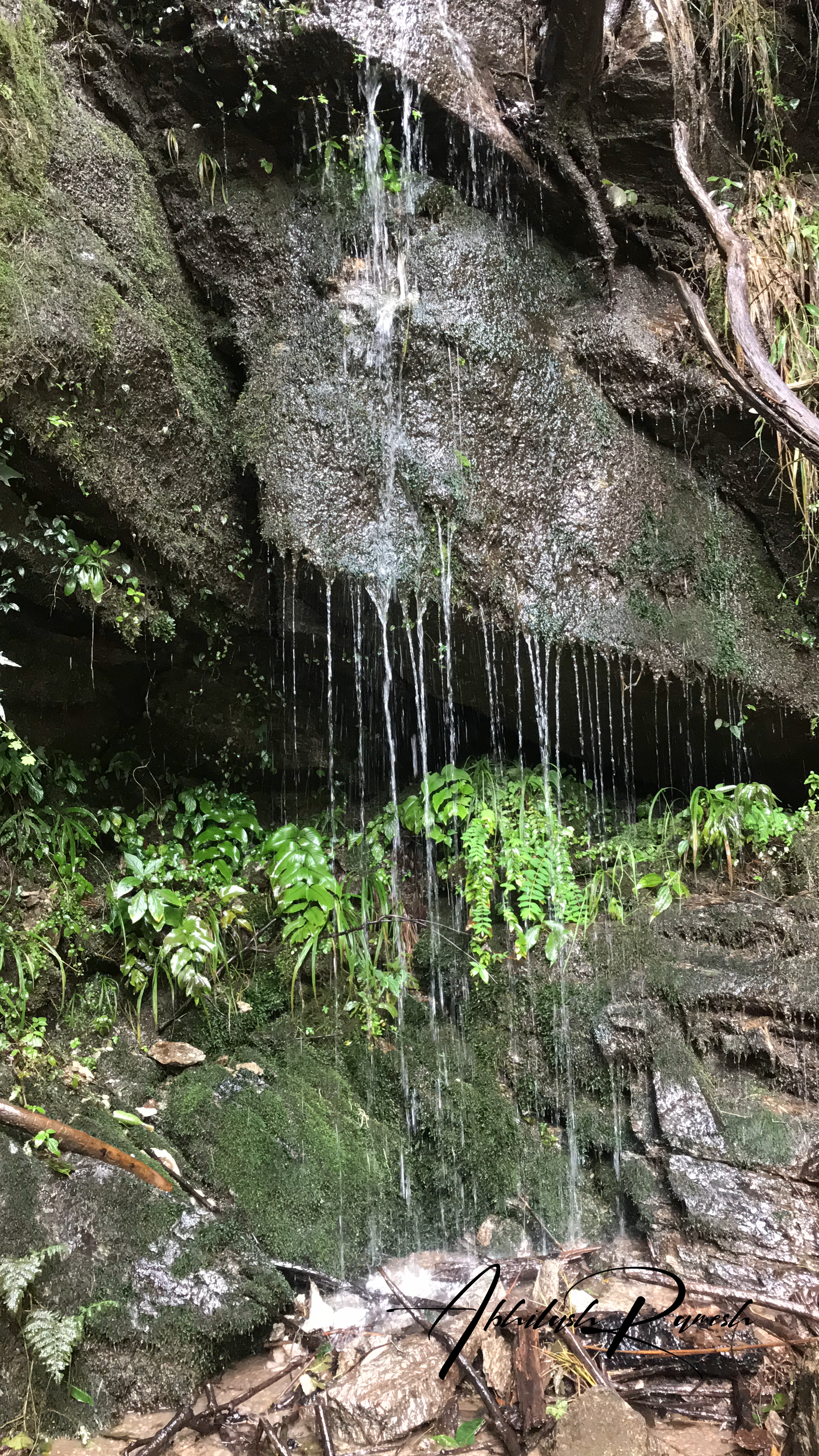 A small water stream