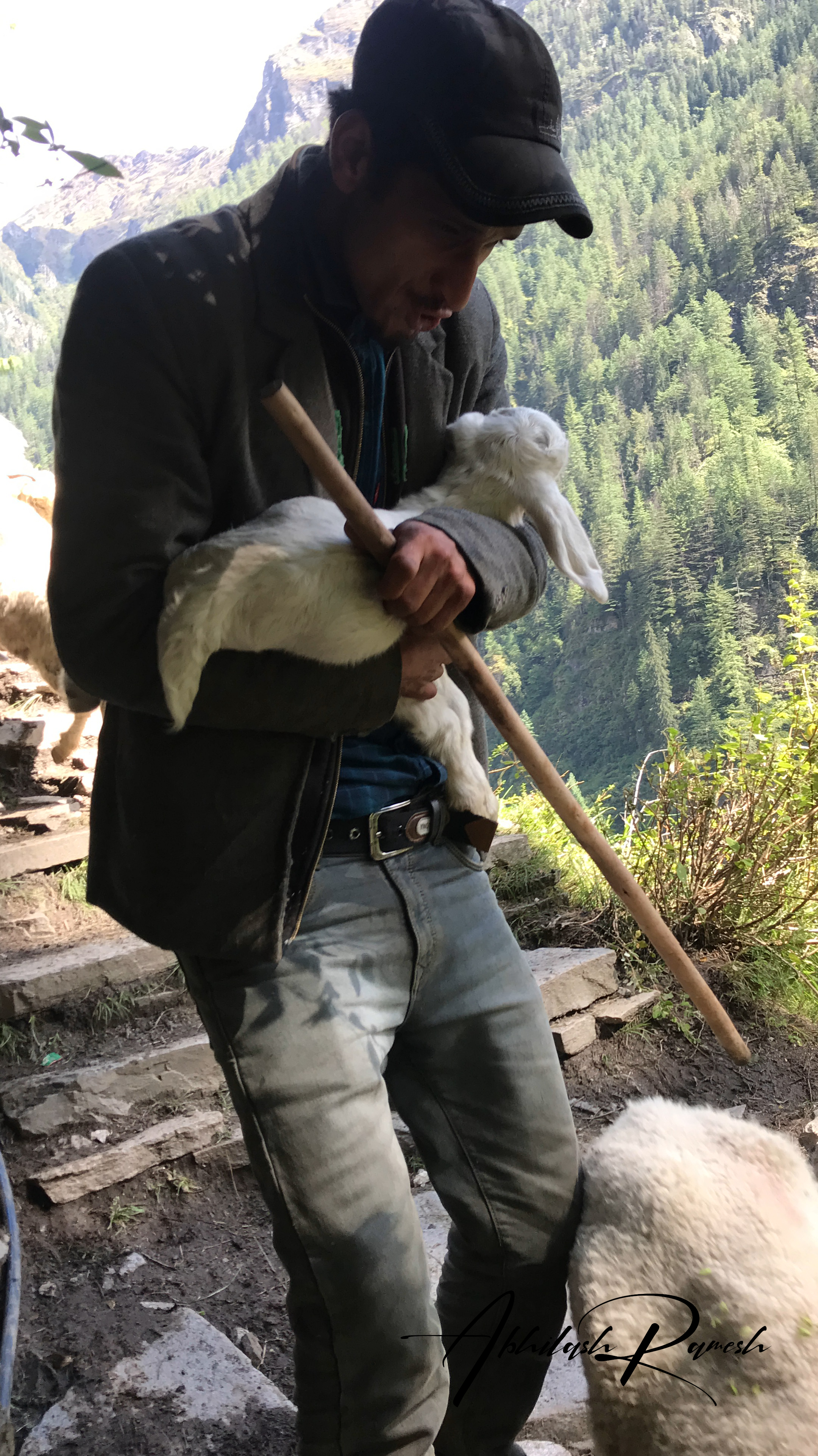 A shepherd hugging his sheep