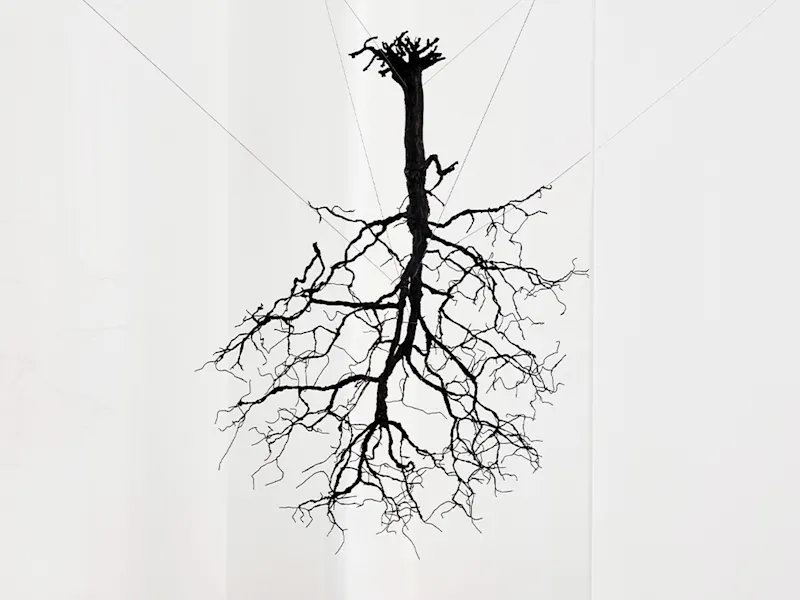 Picture of the __Charlotte Gyllenhammar__ *Presentation of Works* exhibition