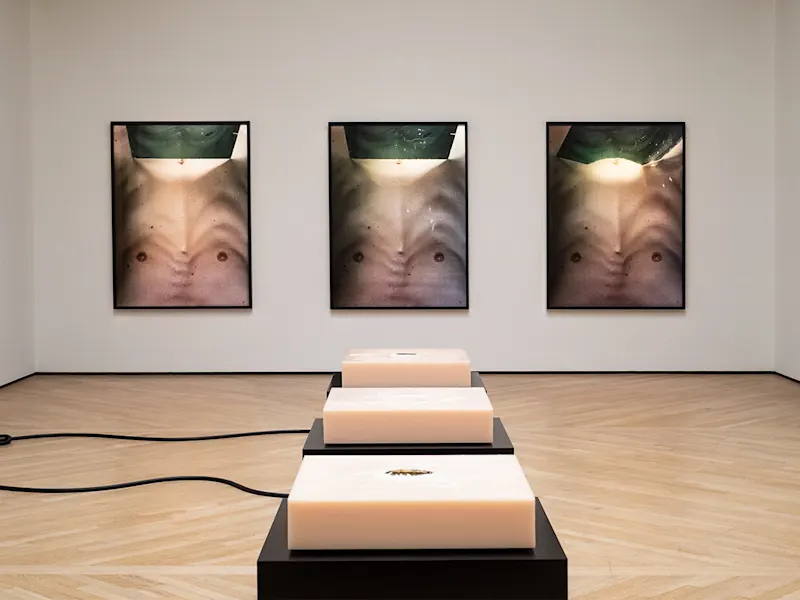 Picture of the __Anders Krisár & Mårten Havalai__ *Camera Obscura* exhibition