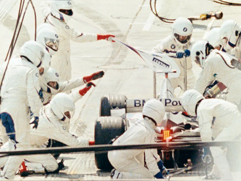 Headline picture from the Speed of Life article