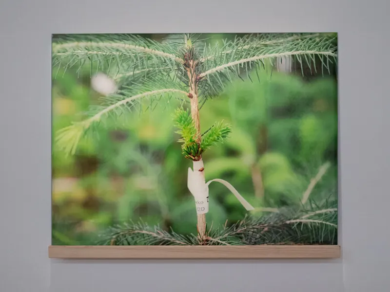 Picture of the Goldin+Senneby *Pool of Life* exhibition