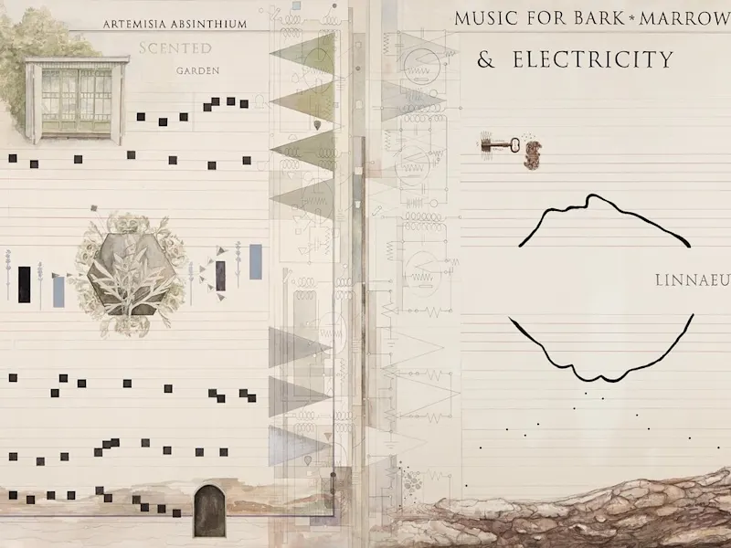 Headline picture from the Christine Ödlund, *The Garden of Frequencies* article