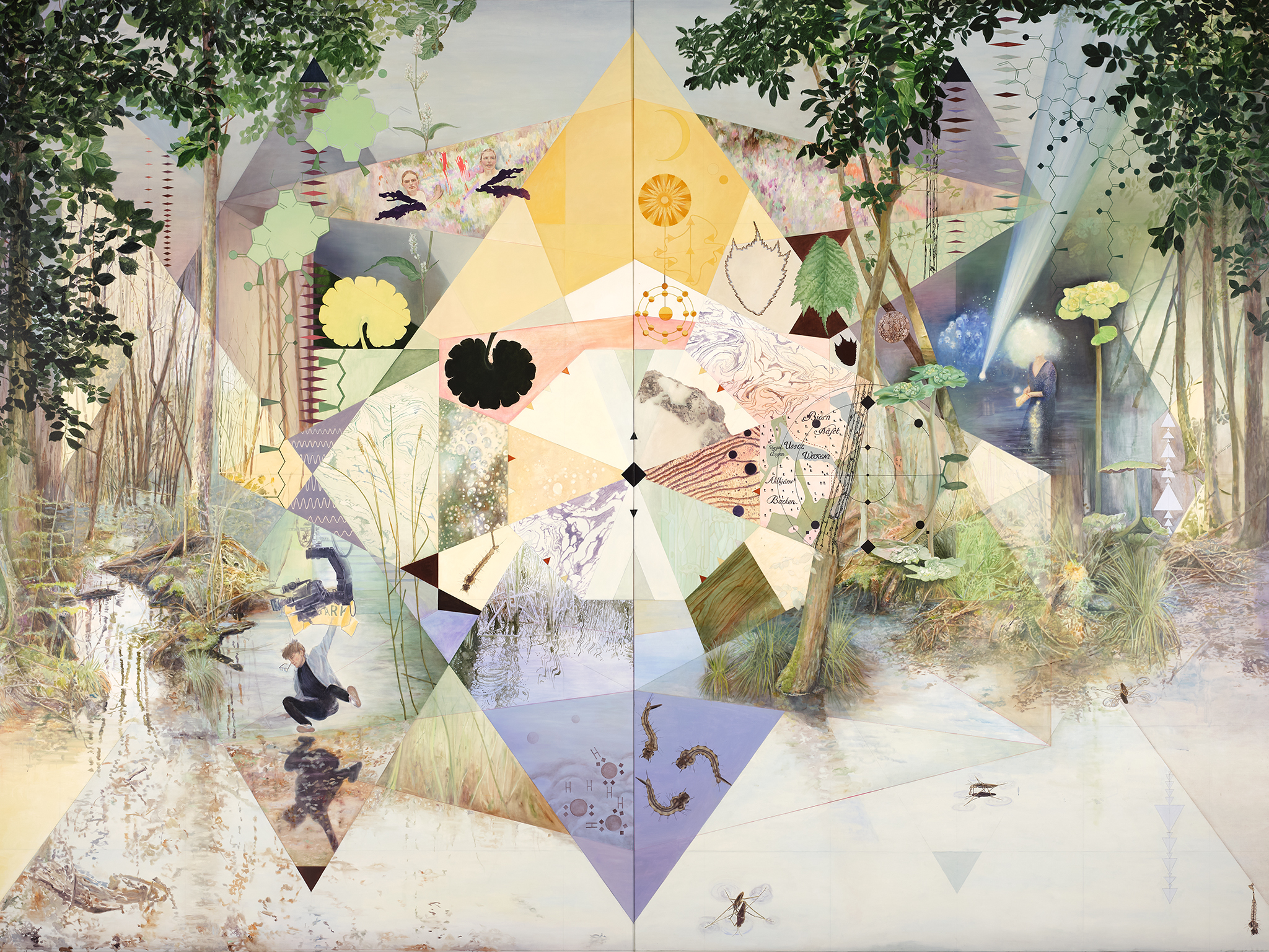 Picture of the __Christine Ödlund__  *Four dimensions of a Swamp* exhibition