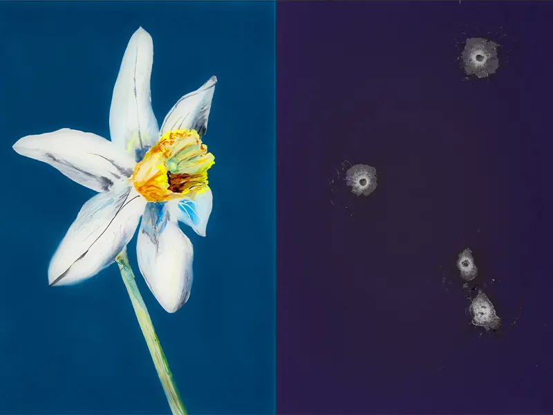 Picture of the __Ulf Rollof__ *Pairs* exhibition