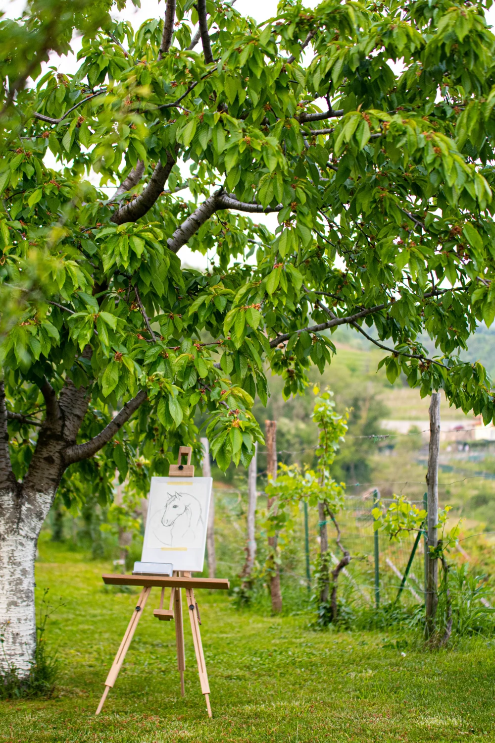 Un giardino incantato per esprimere il tuo lato artistico