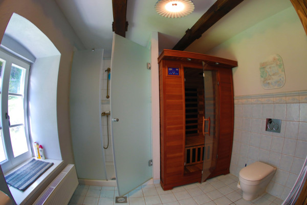 Bathroom with sauna