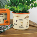 Shop Mushroom Gifts at Prezzybox!