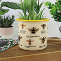 Check out Bee Gifts at Prezzybox!