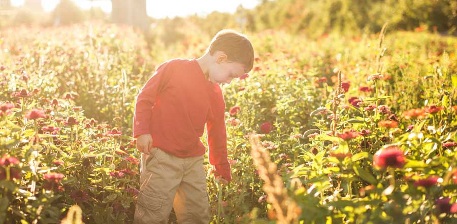 Un enfant dans un champ