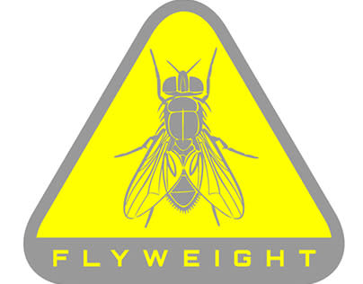 Contoh Flyweight Design Pattern