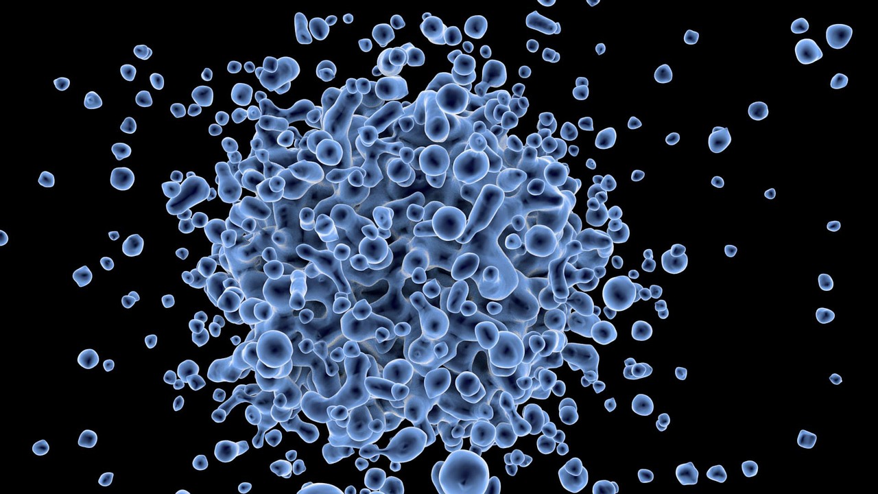 Pixabay - Virus Microbiology Cell