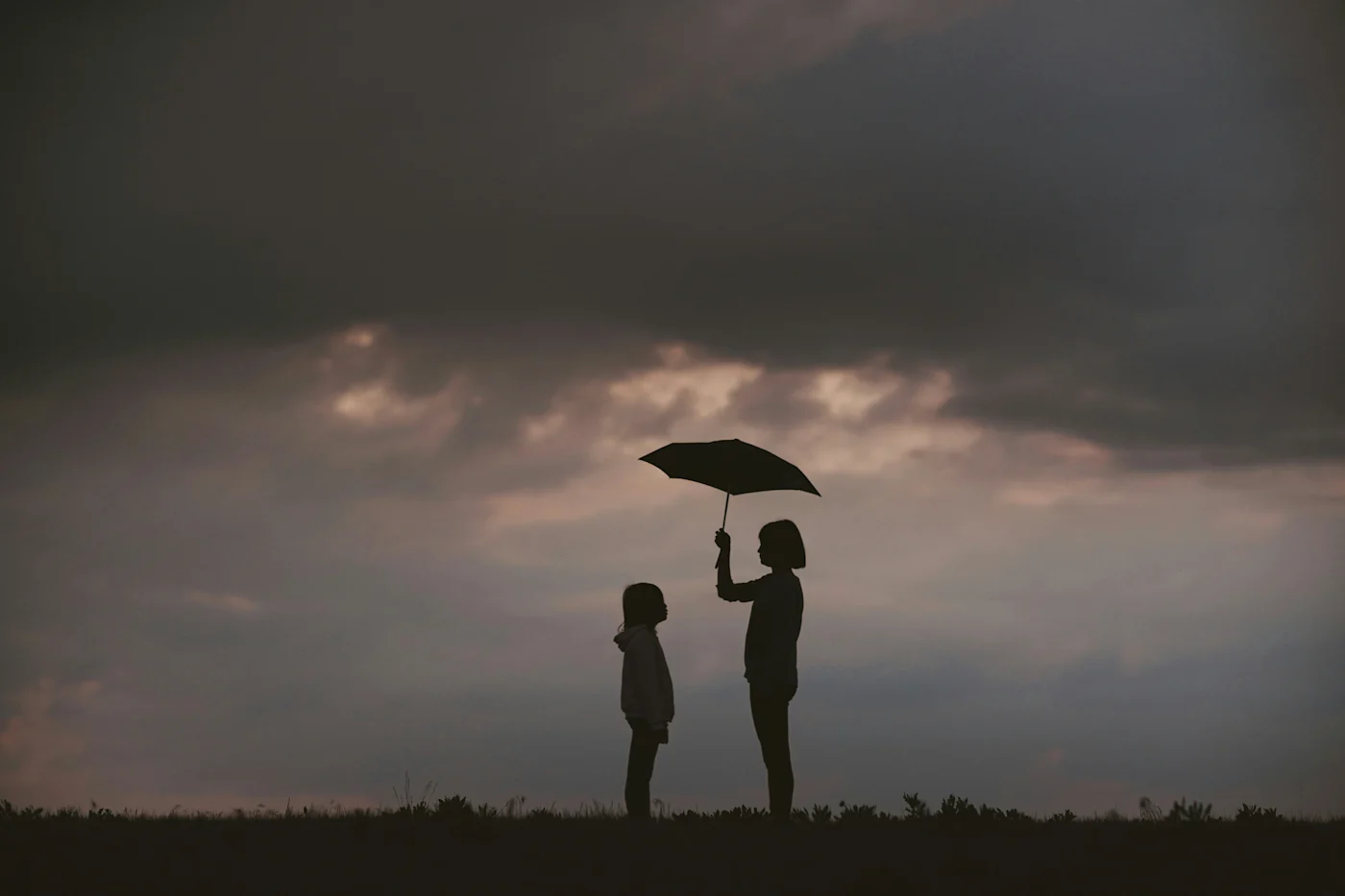 Silhouette of an adult holding an umbrella over a child against a moody dusk sky.