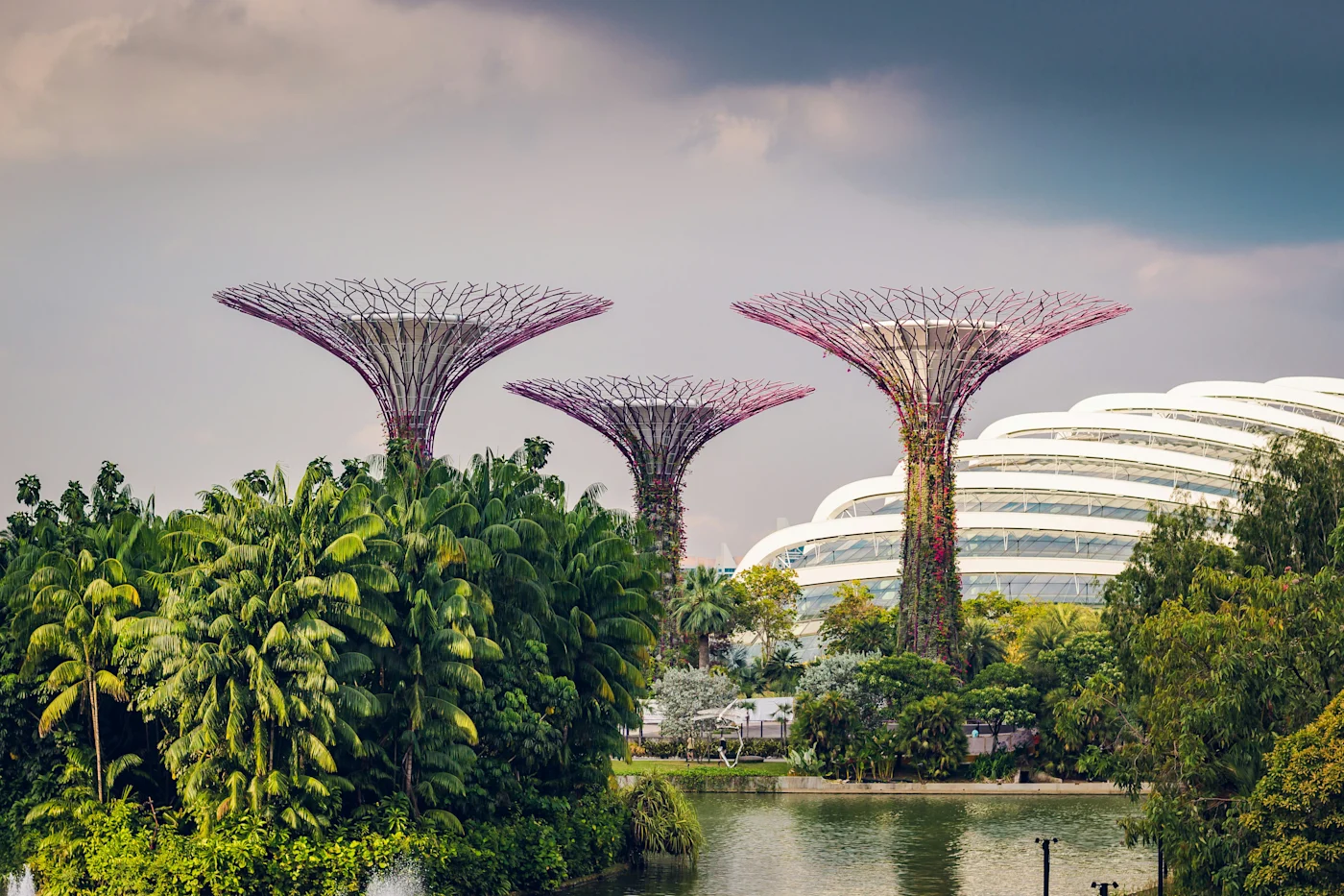 Supertree structures rising above lush greenery beside the domed conservatory at Gardens by the Bay, Singapore