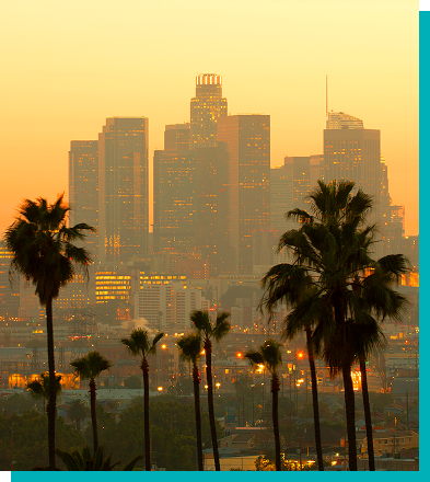 Los Angeles backdrop