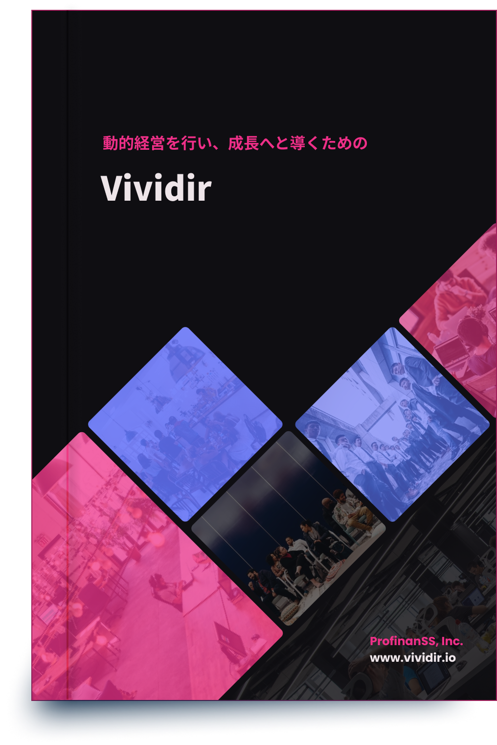 Vividir PDF