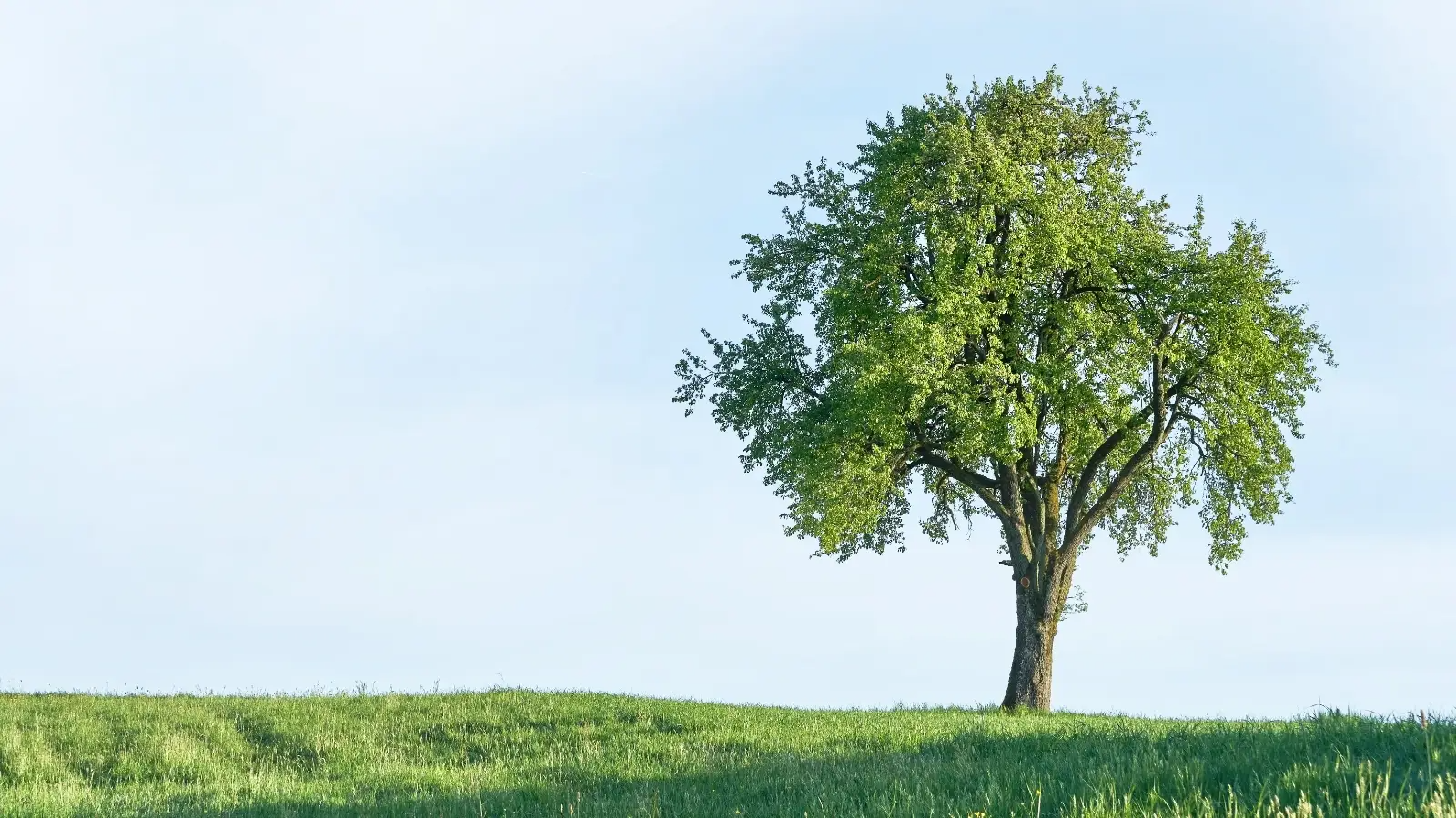 WhyOurRubberFlooringContent - 2