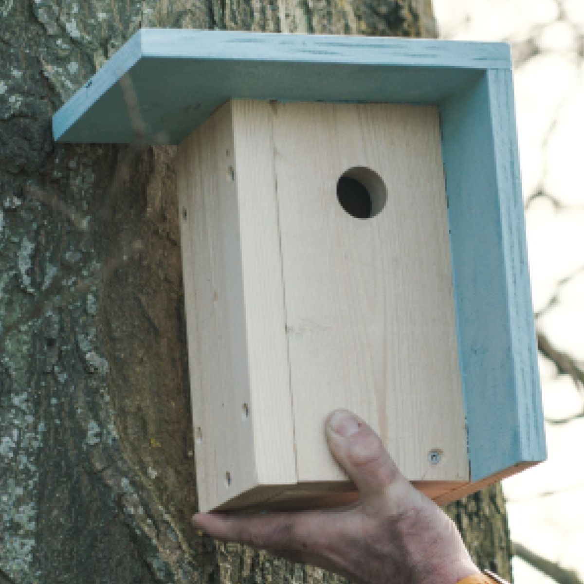 hjælpeløshed hjemmehørende Uforenelig Byg Selv Fuglehus » Sådan bygger du en redekasse | XL-BYG