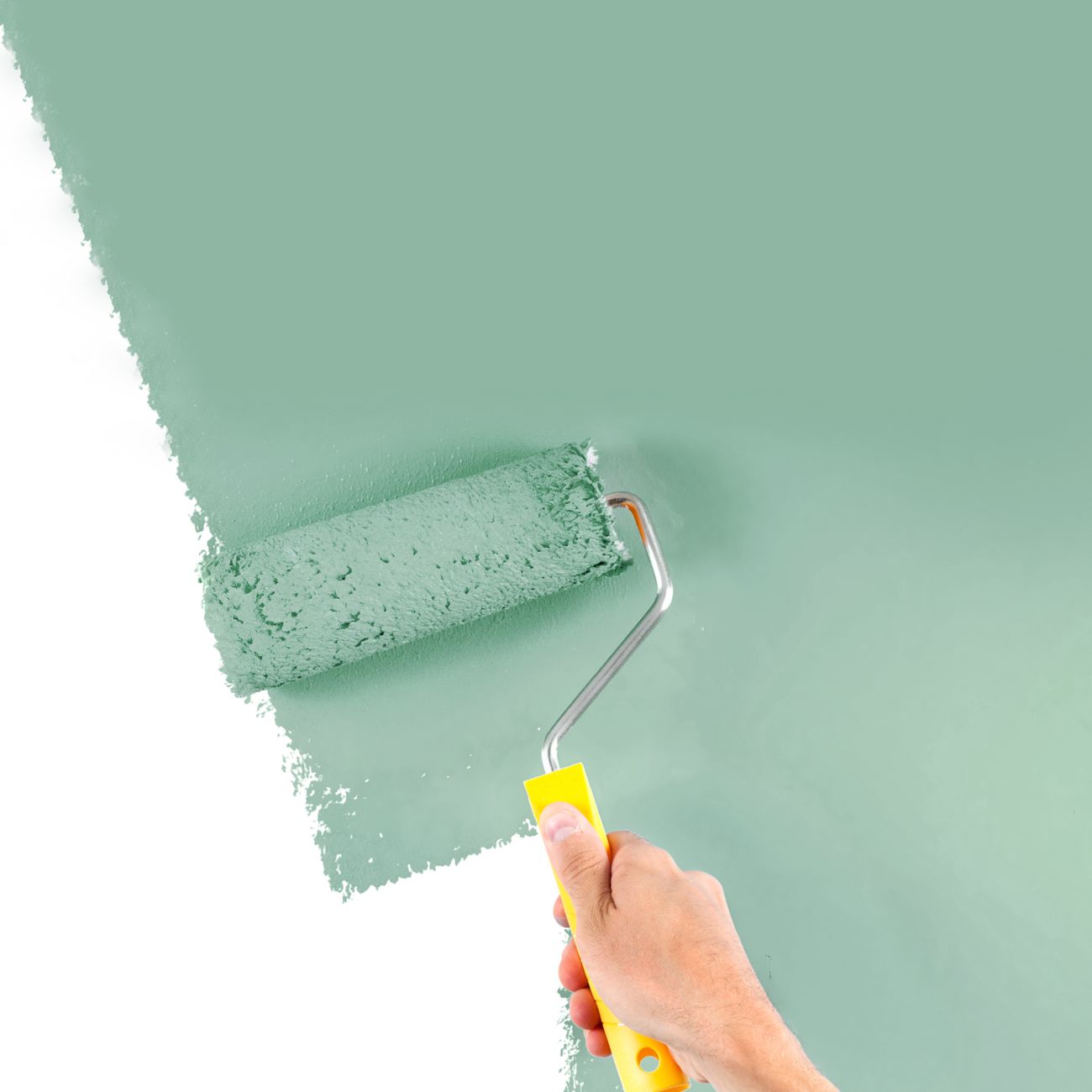 Anlon Roller Set Walls & Wallpaper 18 cm - Anza Painting Tools