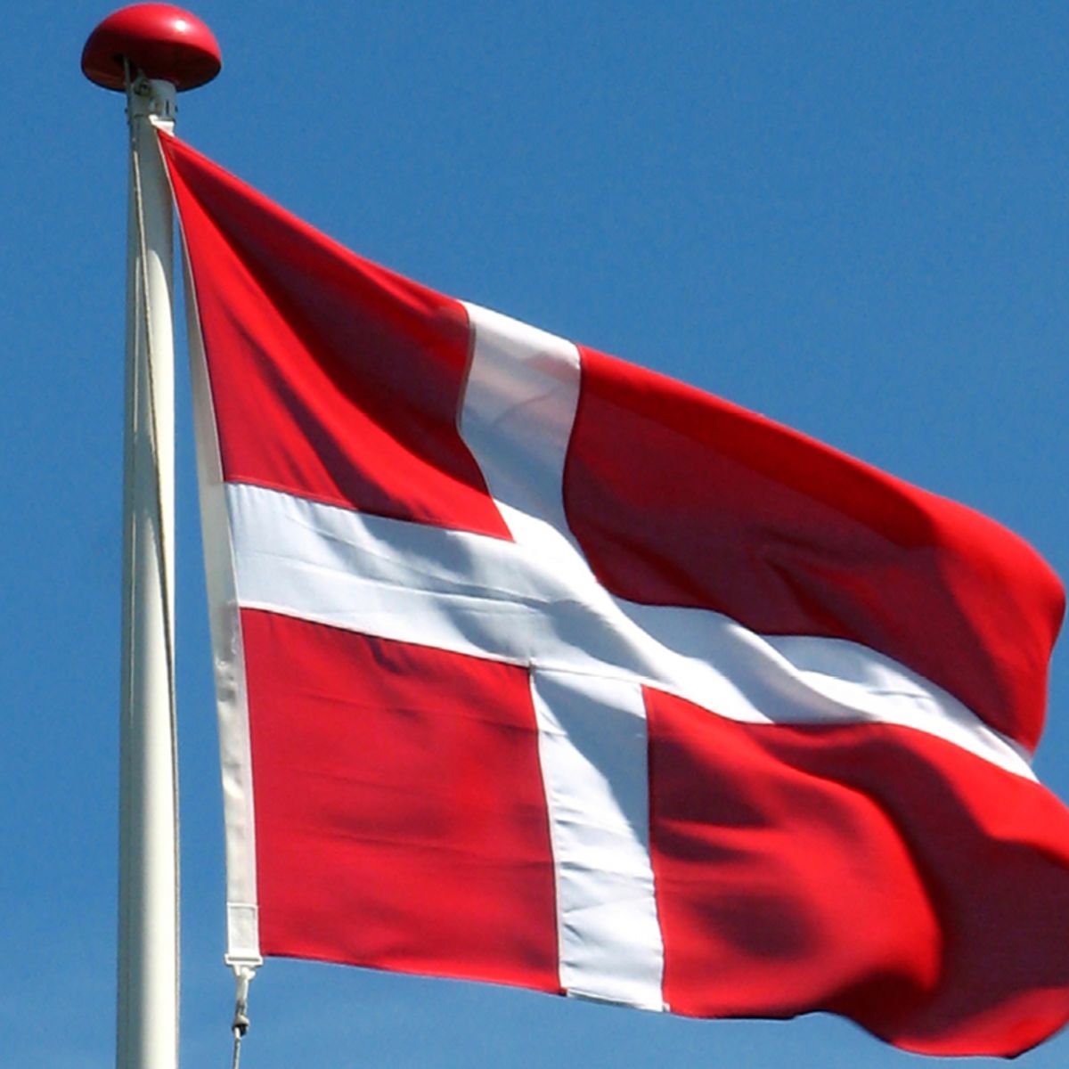 Alt hvad du skal vide om flag