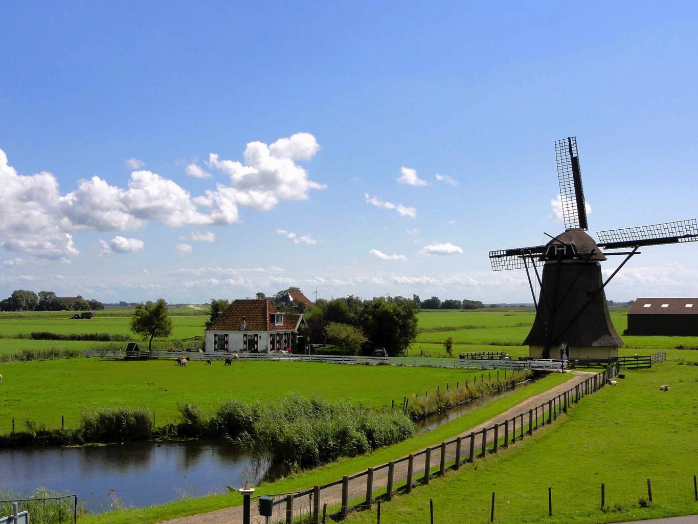Netherlands Landscape sky clouds windmill