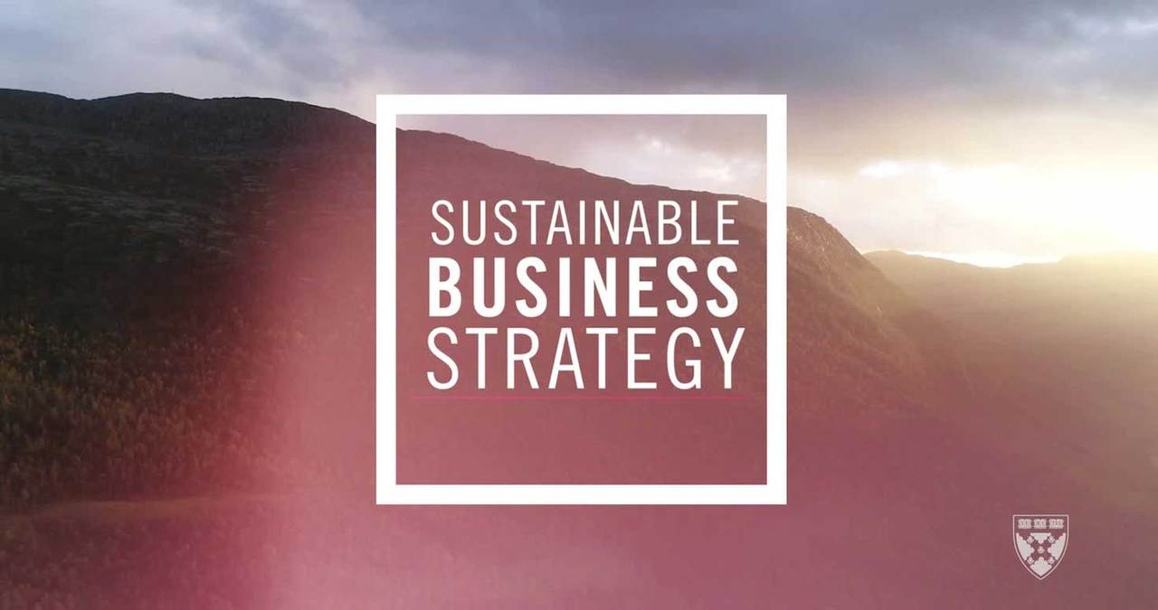 Sustainable Business Strategy