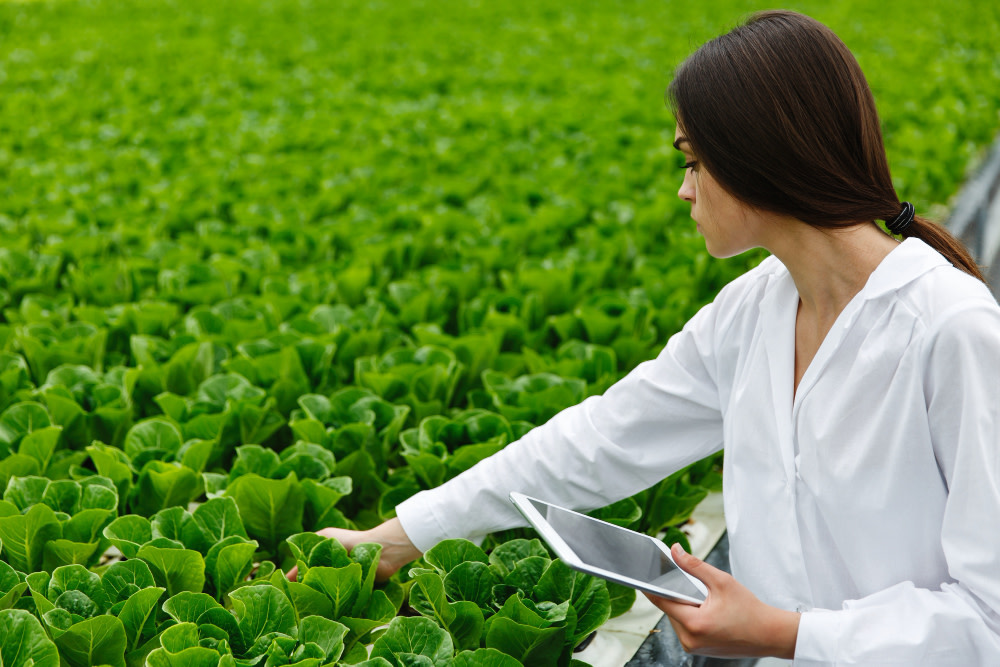 KnowESG_Traive sustainable agri-business projects