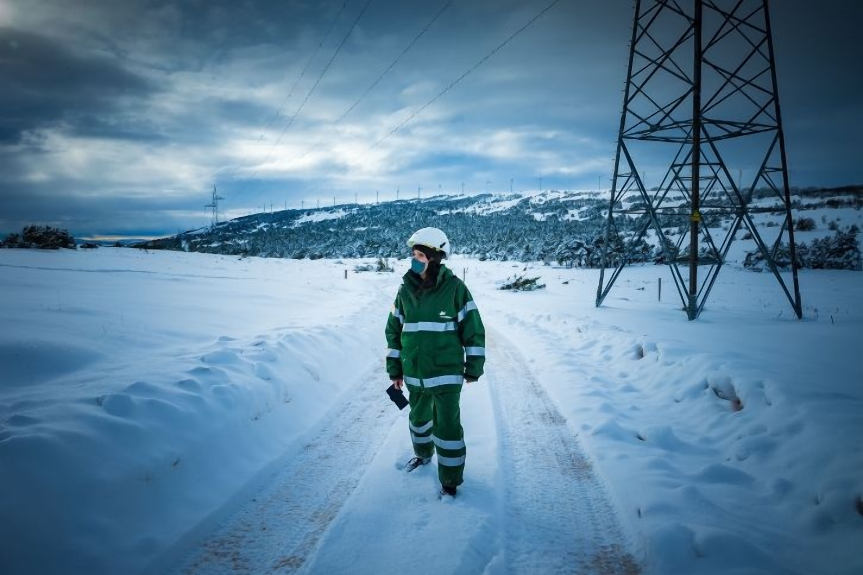 Iberdrola Joins Forces with Basque Startup Woza to Shield its Power Lines from Climate Change