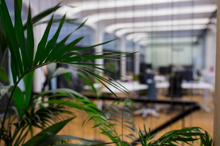 Green Offices' Rise Over Next Two Decades, Says Study