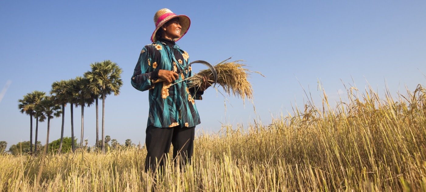 KnowESG_Renewable energy helps women farmers in Cambodia