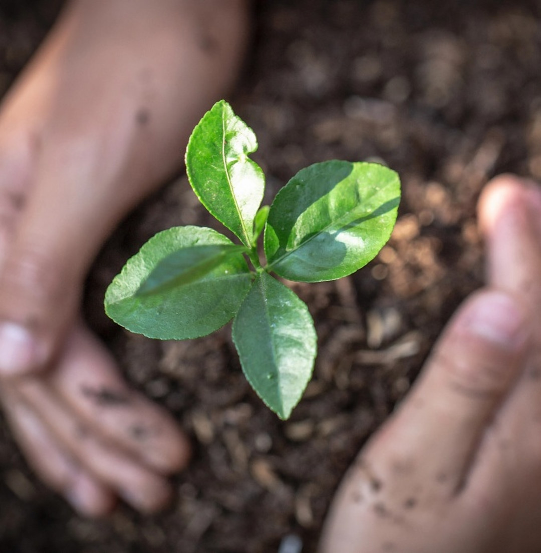 WNS Publishes Its Third ESG Report wns-publishes-its-third-esg-report