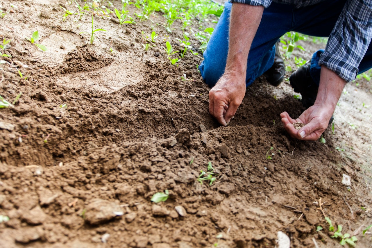 KnowESG_AIB's partnership for sustainable farming