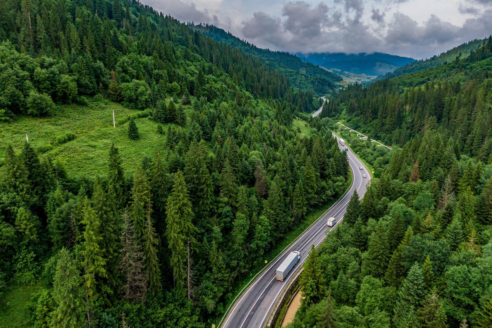 cargo-truck-driving-through-green-forest-and-mountains-s