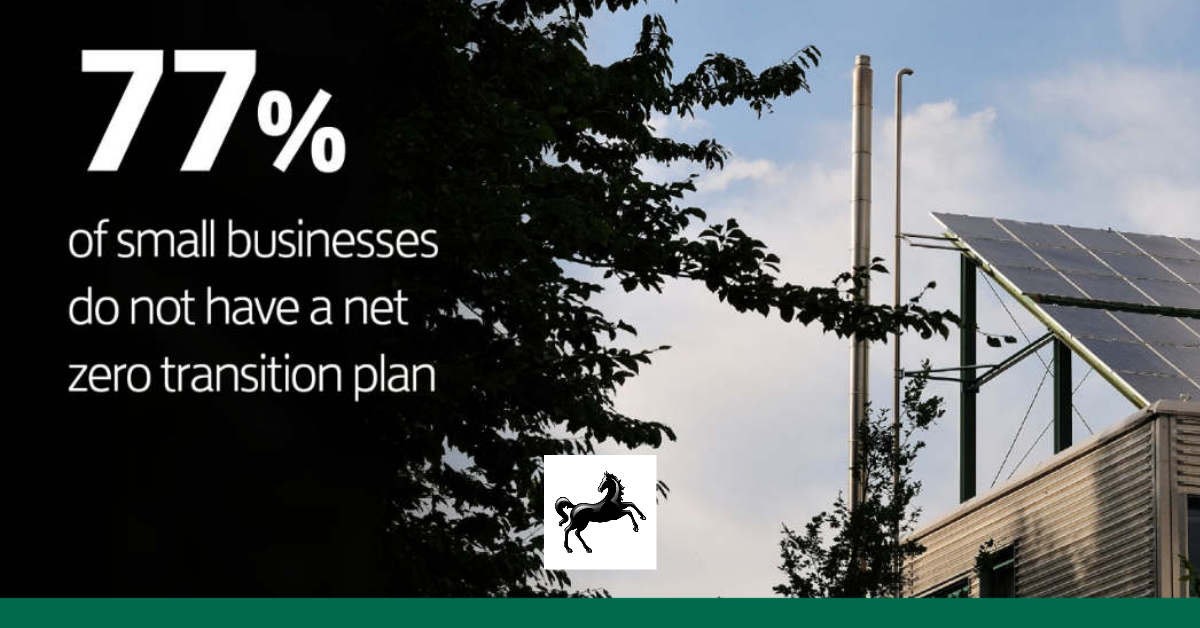 Up to 4 million small businesses lack plans for the transition to net zero
