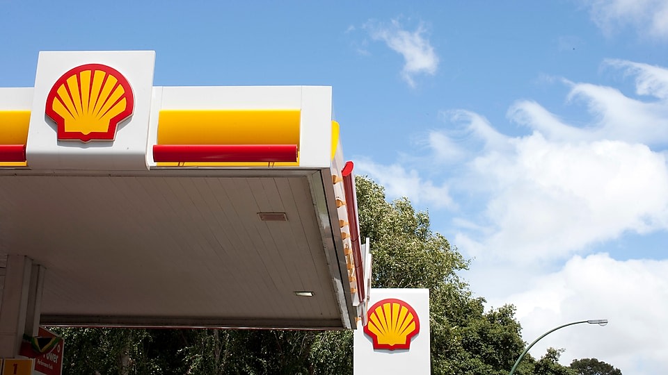 Shell-India